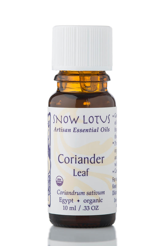 Snow Lotus organic Coriander Leaf Essential Oil in an amber glass bottle