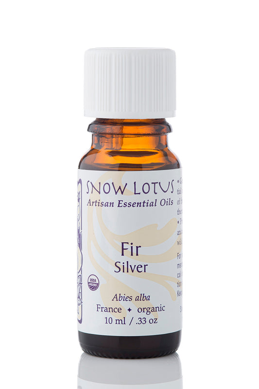 Snow Lotus organic Silver Fir Essential Oil in an amber glass bottle